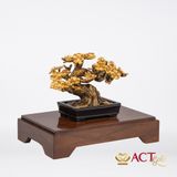 Quà tặng Chậu Mai dát vàng 24k ACT GOLD ISO 9001:2015