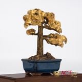Quà tặng Tùng La Hán dát vàng 24k ACT GOLD ISO 9001:2015 (Mẫu 1)