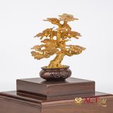 Quà tặng Chậu Cây Tài Lộc dát vàng 24k ACT GOLD ISO 9001:2015 (mẫu 2)