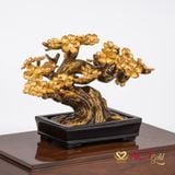 Quà tặng Chậu Mai dát vàng 24k ACT GOLD ISO 9001:2015