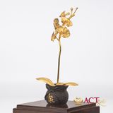 Quà tặng Chậu Lan 1 Cành dát vàng 24k ACT GOLD ISO 9001:2015