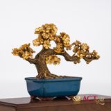 Quà tặng Chậu Mai Ngũ Phúc dát vàng 24k ACT GOLD ISO 9001:2015