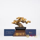Quà tặng Chậu Mai dát vàng 24k ACT GOLD ISO 9001:2015