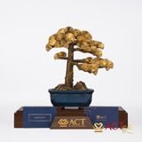 Quà tặng Tùng La Hán dát vàng 24k ACT GOLD ISO 9001:2015 (Mẫu 1)