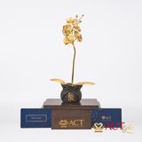 Quà tặng Chậu Lan 1 Cành dát vàng 24k ACT GOLD ISO 9001:2015