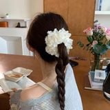  Kẹp tóc_Buộc tóc Caily 