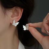  Bông tai Samantha 