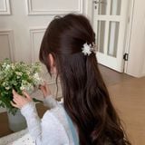  Kẹp tóc Ariella 