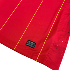 ÁO BÓNG ĐÁ VIỆT NAM 2010 SÂN NHÀ CHÍNH HÃNG PLAYER