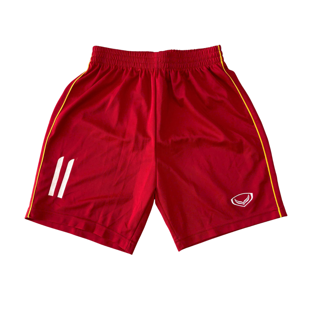 BỘ BÓNG ĐÁ VIỆT NAM 2017 SÂN NHÀ CHÍNH HÃNG PLAYER + PATCH VÒNG LOẠI ASIAN CUP 2019 #11