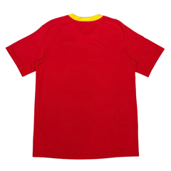 ÁO BÓNG ĐÁ VIỆT NAM 2009 SÂN NHÀ CHÍNH HÃNG PLAYER 384725