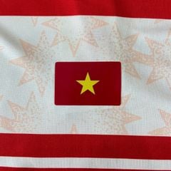 ÁO T-SHIRT ĐOÀN THỂ THAO VIỆT NAM 2025/26 RISE BEYOND VN - MJ-A2287