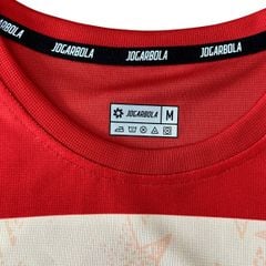 ÁO T-SHIRT ĐOÀN THỂ THAO VIỆT NAM 2025/26 RISE BEYOND VN - MJ-A2287