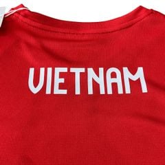 ÁO T-SHIRT ĐOÀN THỂ THAO VIỆT NAM 2025/26 RISE BEYOND VN - MJ-A2287