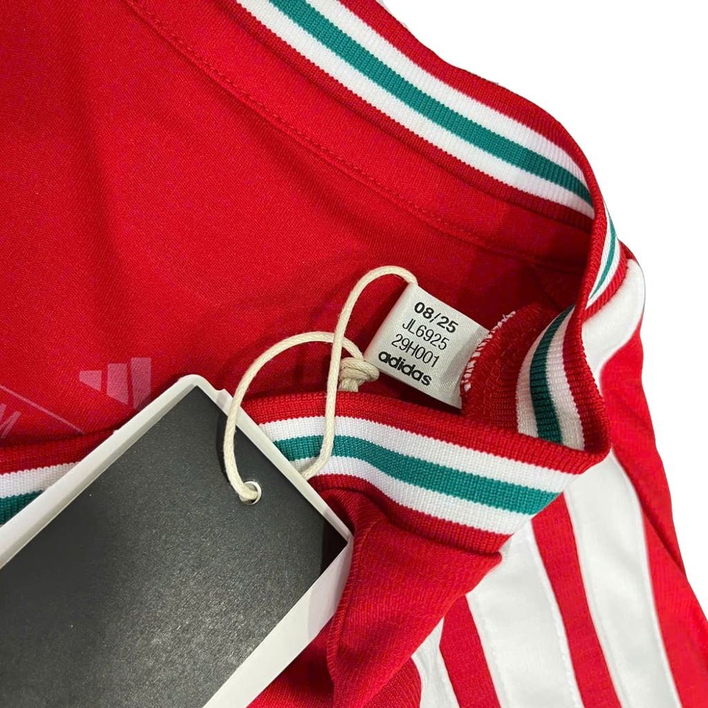 ÁO BÓNG ĐÁ XỨ WALES 2026 SÂN NHÀ CHÍNH HÃNG FAN JL6925