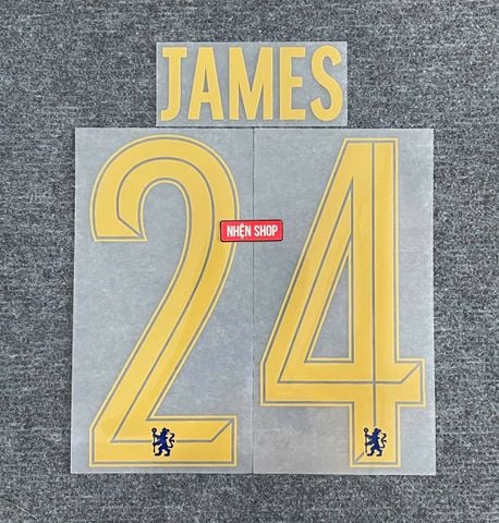 NAMESET JAMES 24 AUTHENTIC CHELSEA SÂN NHÀ 2023/24 CUP