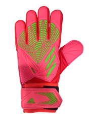 GĂNG TAY THI ĐẤU CÓ CHỮ KÝ CỦA PETER SCHMEICHEL CHÍNH HÃNG - HC0621