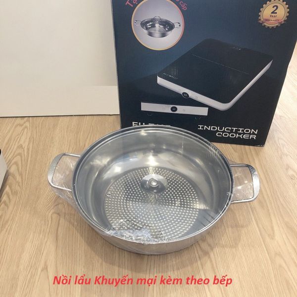 Bếp từ đơn Eurosun EU-T197