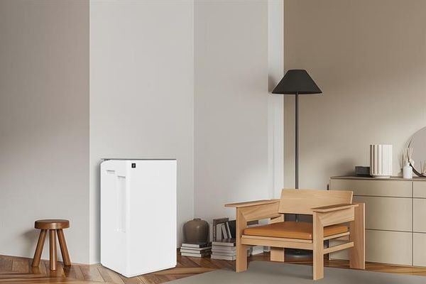 Máy hút ẩm kèm lọc không khí  30L Sharp DW-T30FV-W