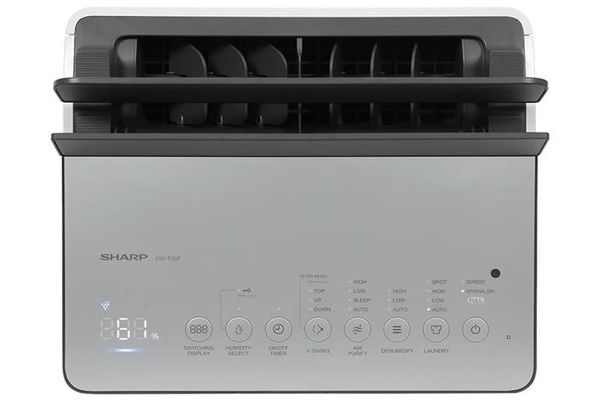 Máy hút ẩm kèm lọc không khí  30L Sharp DW-T30FV-W