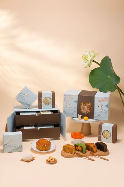  Hộp Thanh Yến - Combo 4 Bánh Vị Tùy Chọn 