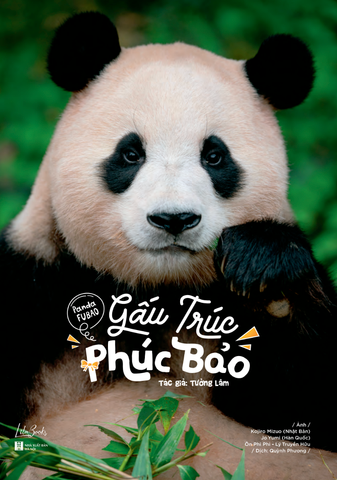 Gấu Trúc Phúc Bảo