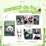Combo Gấu Trúc: Manh Lan - Hương Hương - Hoa Hoa (Bản thường)