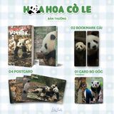 Combo Gấu Trúc: Manh Lan - Hương Hương - Hoa Hoa (Bản thường)