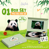 Gấu Trúc Phúc Bảo