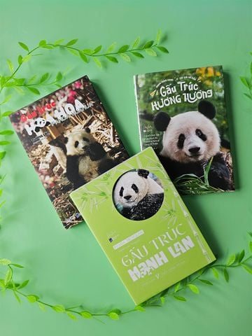 Combo Gấu Trúc: Manh Lan - Hương Hương - Hoa Hoa (Bản thường)