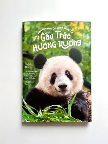 [Đồng Giá] Gấu Trúc Hương Hương