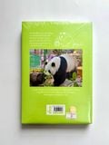 [Đồng Giá] Gấu Trúc Manh Lan - Panda Menglan