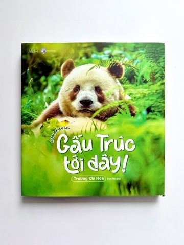 [Đồng Giá] Gấu Trúc Tới Đây!