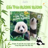 Gấu Trúc Hương Hương