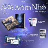Cây nấm nhỏ 1 Đặc biệt