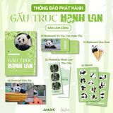 Combo Gấu Trúc: Manh Lan - Hương Hương - Hoa Hoa (Bản thường)