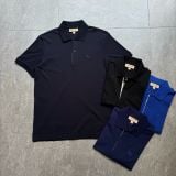  Áo polo BBR basic 