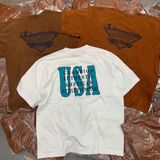  Áo thun Champion washed 