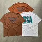  Áo thun Champion washed 