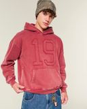  Áo hoodie Hollister đỏ washed 19 