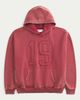  Áo hoodie Hollister đỏ washed 19 