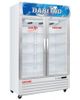 DL-12000A - Tủ Mát 2 Cánh Darling Đèn Led 1100L