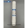 Màng RO EZ270T-2R KAROFI Korea 100 ( Màng Hàn 100)