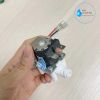 Van điện từ nối nhanh kèm dây giác (Van điện từ 24V EZ xanh YS-DCF-J2 KSD