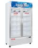DL-9000A - Tủ Mát 2 Cánh Darling Đèn Led 830L