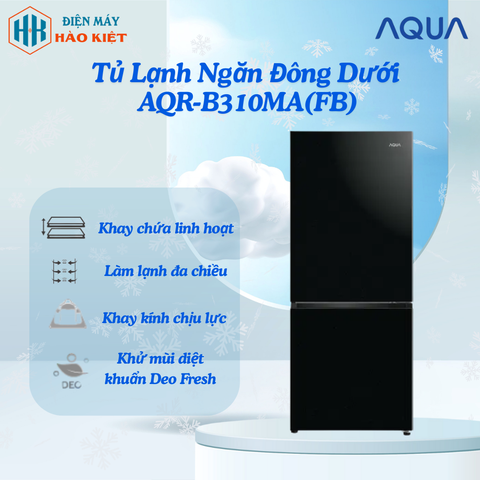 AQR-B310MA(FB) - Tủ Lạnh Ngăn Đông Dưới