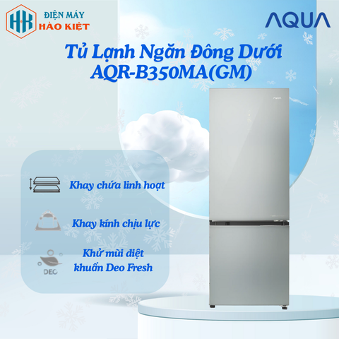 AQR-B350MA(GM) - Tủ Lạnh Ngăn Đông Dưới