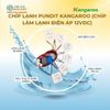 Chíp Lạnh Pundit Kangaroo (Chíp làm lạnh điện áp 12VDC)