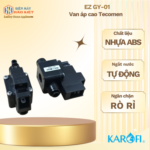 Van áp cao Tecomen (giống Karofi nhưng tem tecomen) (Van áp cao EZ GY-01)