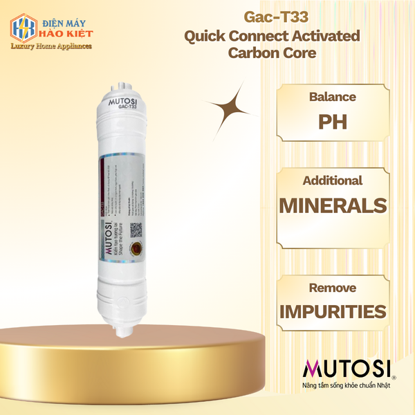 Lõi Chức Năng Gac-T33 Than Hoạt Tính Nối Nhanh
